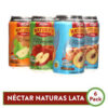Néctar de frutas
